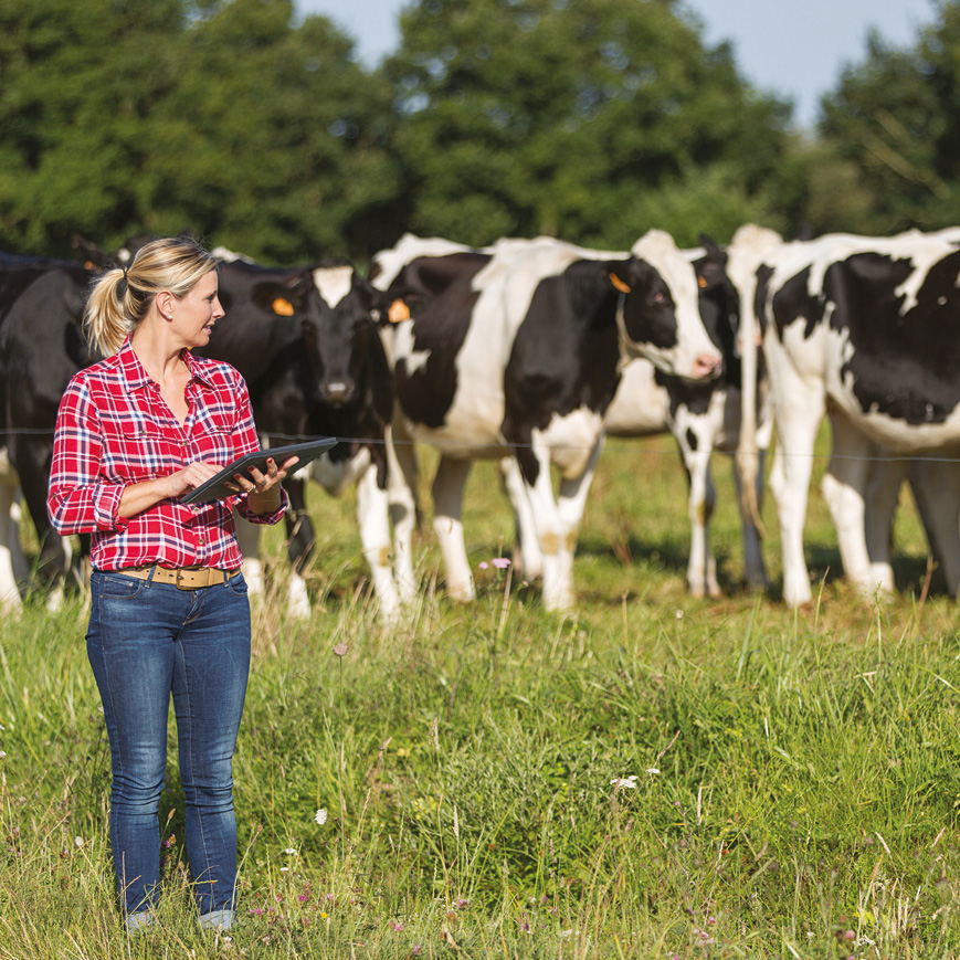 Cerfrance Mayenne -Sarthe, conseil en agriculture, comment réduire l'empreinte carbone de votre exploitation agricole