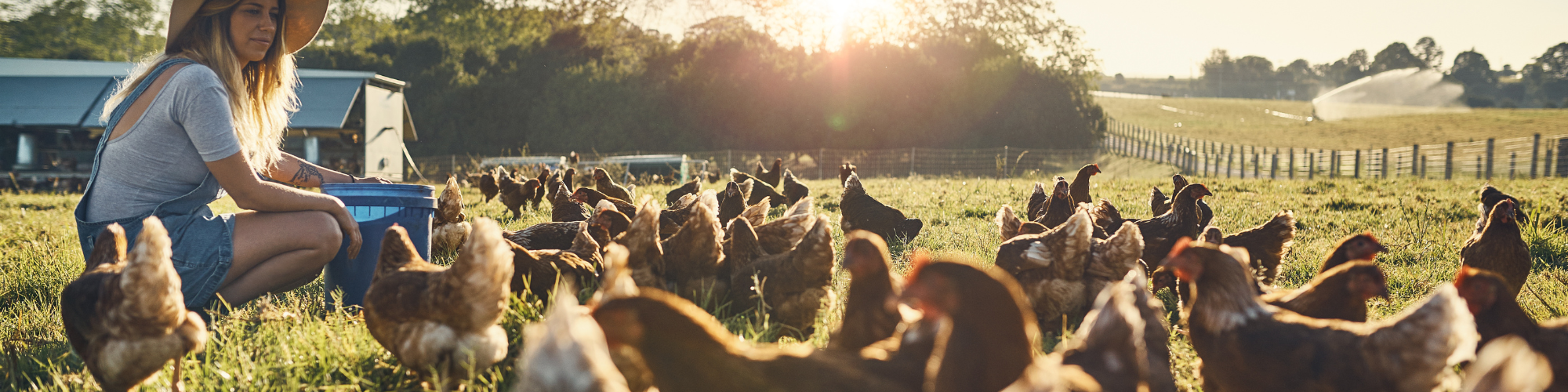 Jeunes Agriculteurs installés : simplification des contrôles et des modalités d’avenants