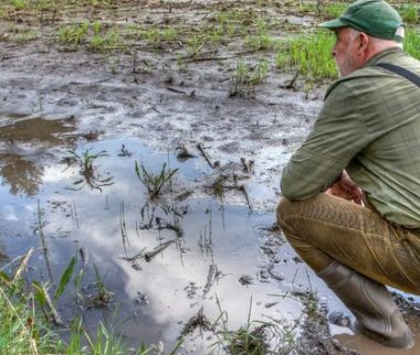 Cerfrance Mayenne-Sarthe, conseil en agriculture, intempéries été 2024