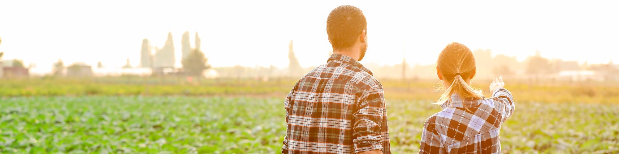 Loi de finances 2025 : quoi de neuf pour les entreprises agricoles ?