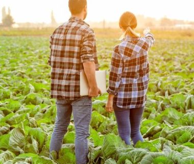 Cerfrance Mayenne-Sarthe, conseil en agriculture, loi de finances 2025, nouvelles mesures pour les agriculteurs